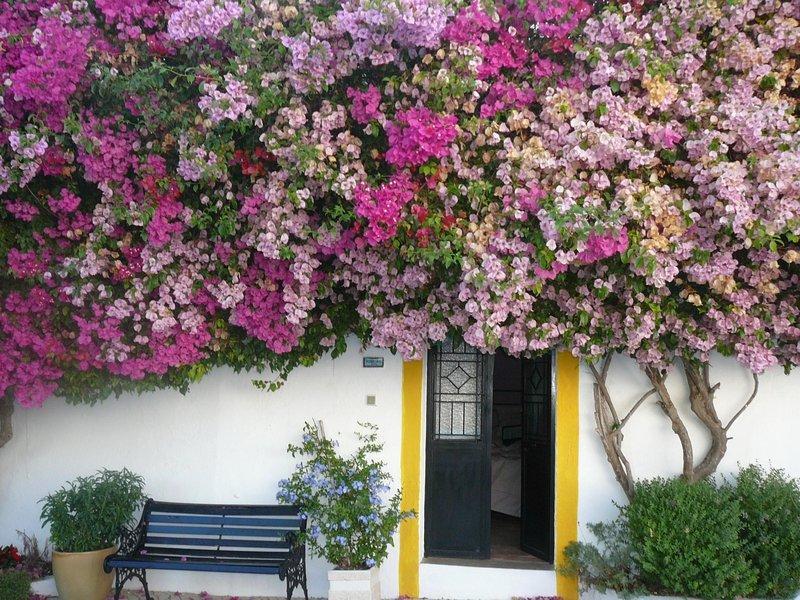 Hotel Rio Arade Algarve Manor House à Estômbar Extérieur photo